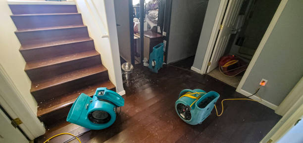 Best Mold removal after water damage  in Los Altos, CA