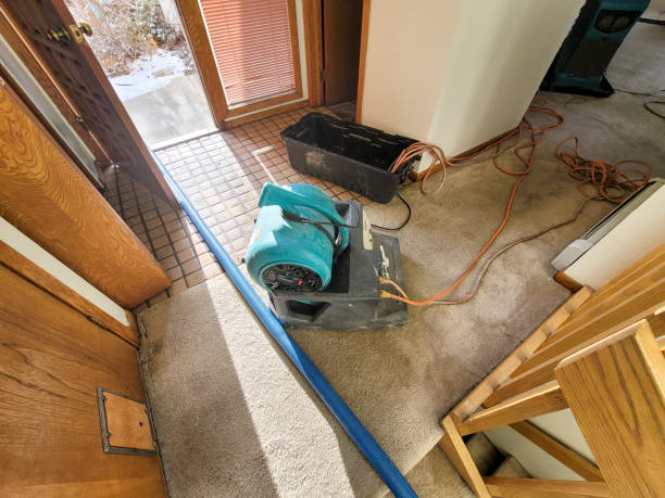 Best Carpet water damage restoration  in Los Altos, CA