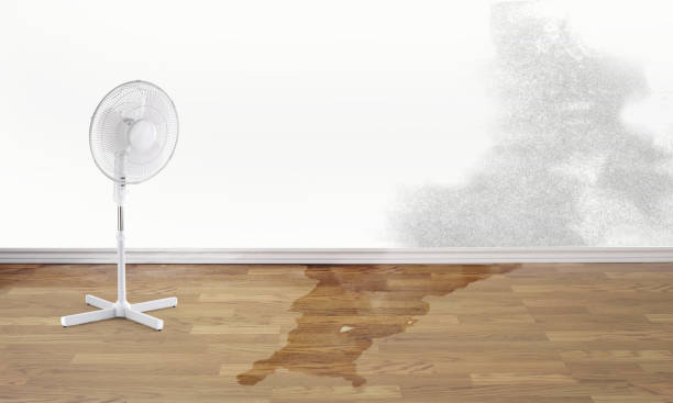 Best Basement water damage restoration  in Los Altos, CA