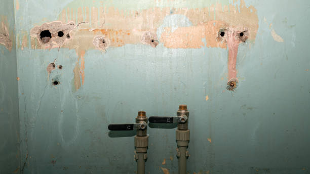 Best Sewage cleanup and water damage restoration  in Los Altos, CA